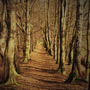 the way